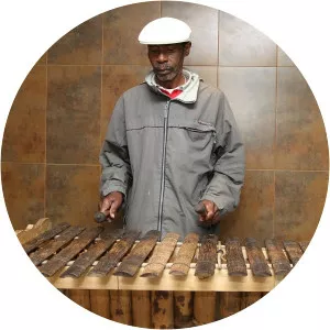 José Antonio Torres Solís Musician