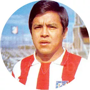 José Cardona