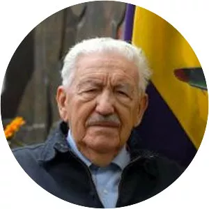 José Falcó Sanmartín