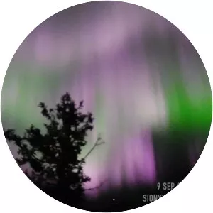 José Francisco Salgado