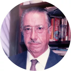 José Luis Villar Palasí