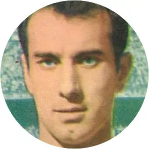 José María (footballer, born 1942)