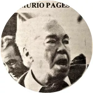 José Pagés Llergo