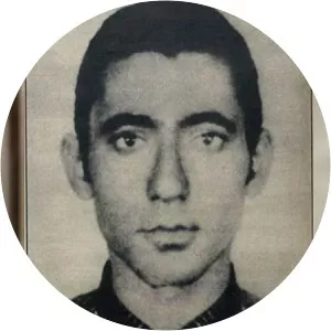 O Monstro do Morumbi