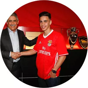 José Pedro Neves Gata