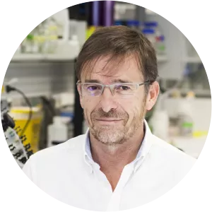 Jose R. Arribas - Researcher