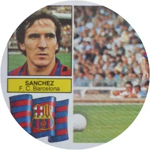 José Vicente Sánchez - Spanish footballer