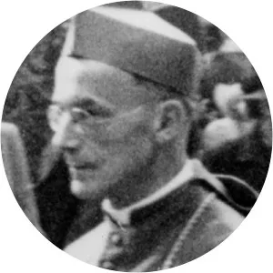 Josef Frings - Political figure