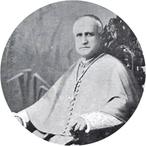 Josep Meseguer i Costa - Spanish biographer