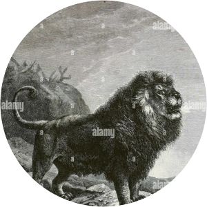 Joseph Bassett Holder