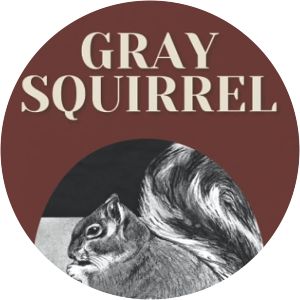 Joseph Wharton Lippincott