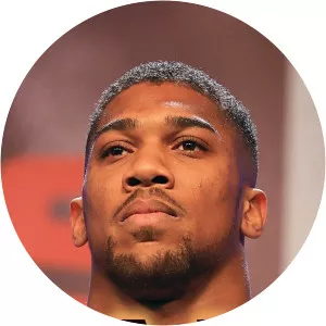 Joshua: History in the Making - TV program