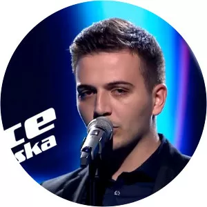 Josip Palameta - Musical artist