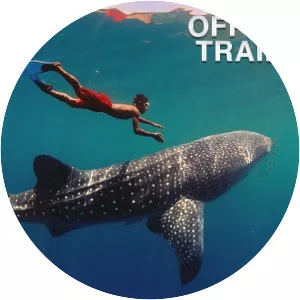 Journey to the South Pacific