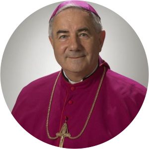 József Csaba Pál - 