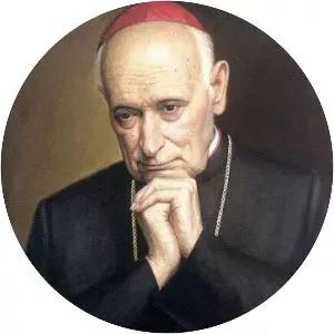 József Mindszenty - Cardinal priest