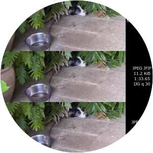 JPEG 2000 - File format