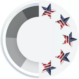 JPMorgan American Investment Trust - Company