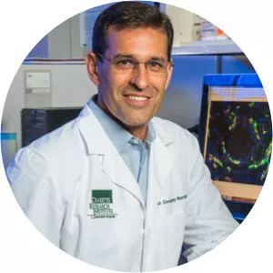 Juan Dominguez-Bendala - Researcher