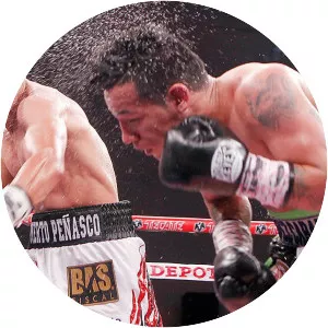 Juan Francisco Estrada - Mexican professional boxer