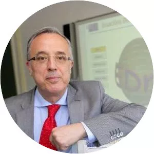 Juan José Nieto Roig