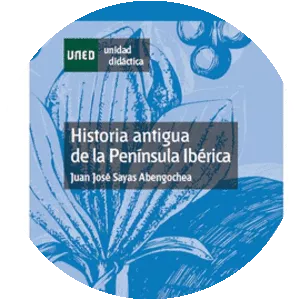 Juan José Sayas Abengochea