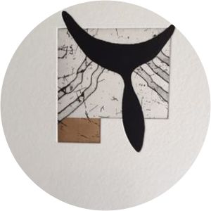 Juan Luis Baroja Collet