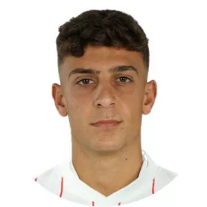 Juan María Alcedo Serrano