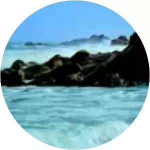 Juan Patricio Riveroll