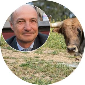 Juan Pedro Domecq Solís