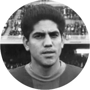 Juan Seminario - Peruvian football player