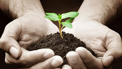 Juanvi Abonos - Agrochemicals supplier in Collado Villalba, Spain