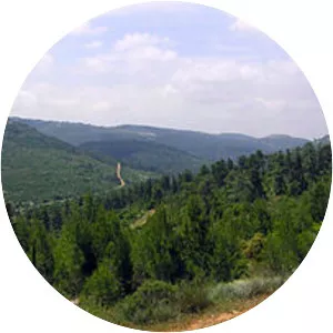 Judaean Mountains - Mountain range in Asia