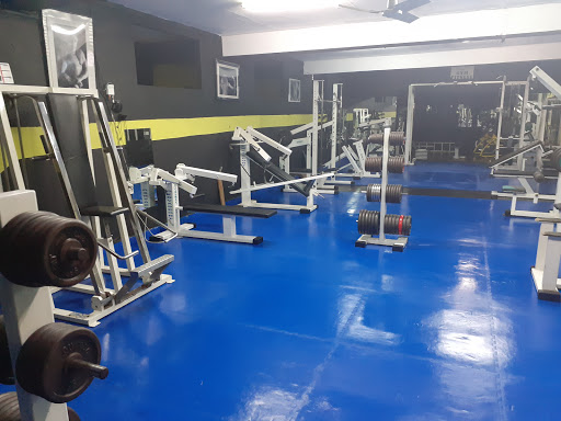 Judo Club Master Gym