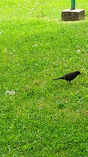 Jugend am Werk - Youth organization in Leoben, Austria