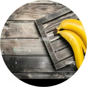 Juicy Bananas - Musical artist