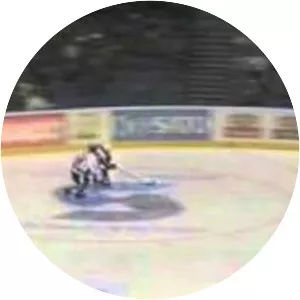 Jukka Hentunen - Ice hockey player