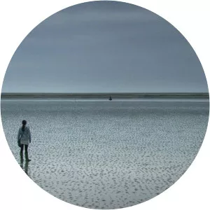 Juliet McKoen - Film director