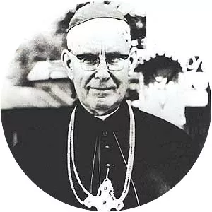 Julijonas Steponavičius - 