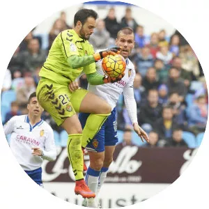 Julio Iricibar - Spanish footballer