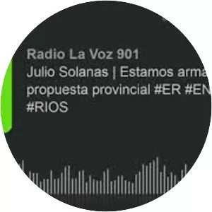 Julio Solanas - Argentina politician