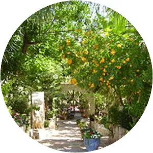 Julis - Village in Israel