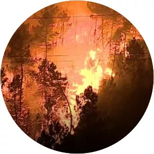 June 2017 Portugal wildfires - 