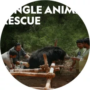 Jungle Animal Rescue