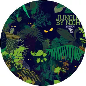 Jungle by Night - Musical group