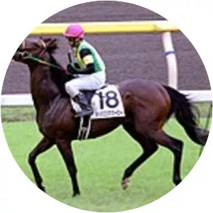 Jungle Pocket - Horse