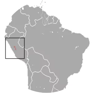 Junin slender opossum