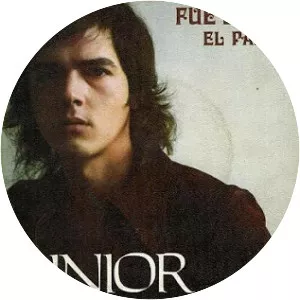 Júnior  - Brazilian footballer