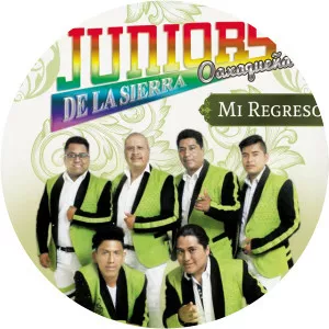 Juniors De La Sierra Oaxaqueña