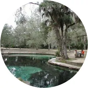 Juniper Springs